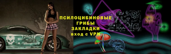 ГАЛЛЮЦИНОГЕННЫЕ ГРИБЫ Надым