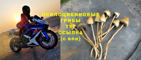 мет Бежецк