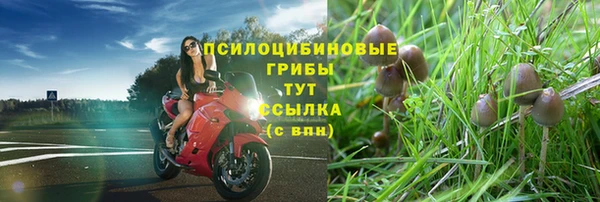 a pvp Нея